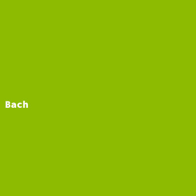 Bach