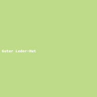 Guter Leder-Hut